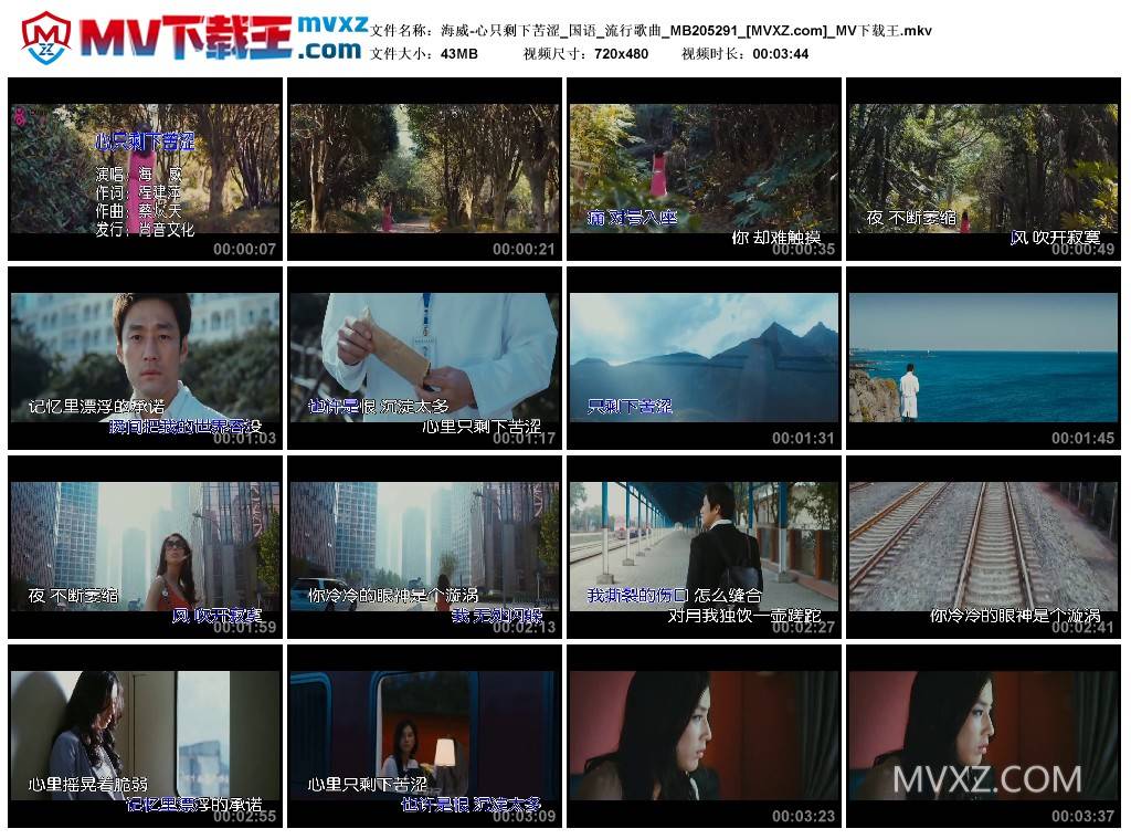 海威-心只剩下苦涩_国语_流行歌曲_MB205291